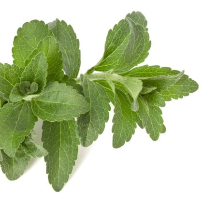 Stévie