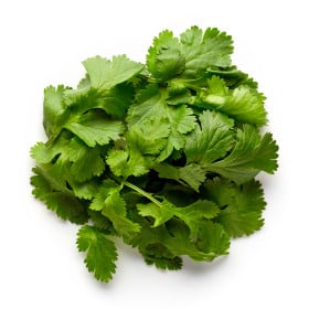 Koriandr