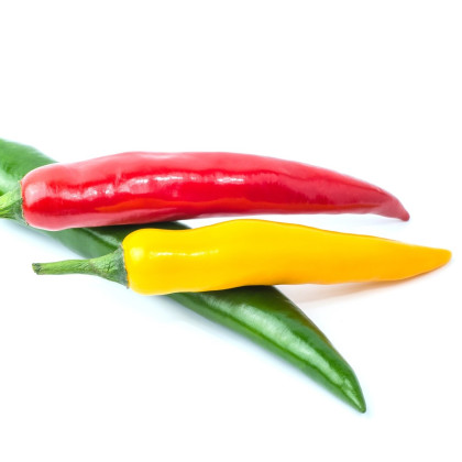 Chilli - pálivé papriky