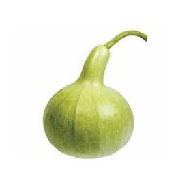Lagenárie