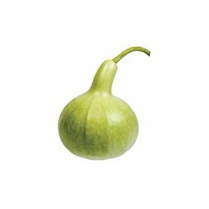 Lagenárie
