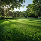Travní směsi do stínu