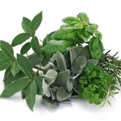 Aromatické koření