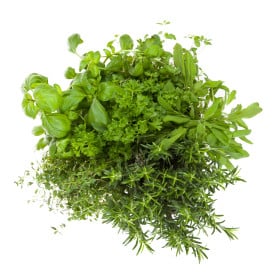 Ostatní aromatické koření