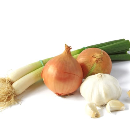 BIO cibulová zelenina