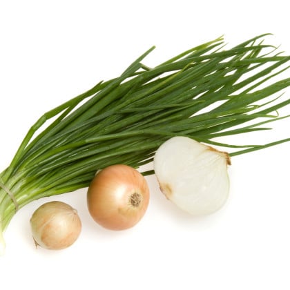 Cibulová zelenina