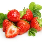 Jahodník - sazenice