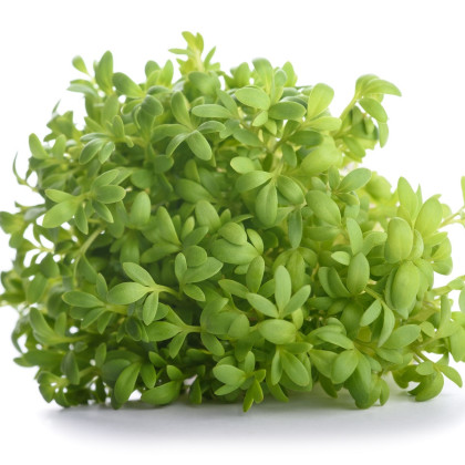 Ostatní BIO listová zelenina