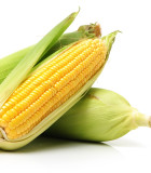 BIO Kukuřice
