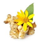 Topinambur - zelenina