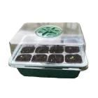 Miniskleníky a pařeniště