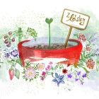 Dárkové balíčky a poukazy