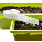 Výsevní pásky okrasných rostlin