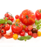 Nejprodávanější odrůdy rajčat