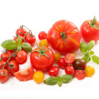 Nejprodávanější odrůdy rajčat