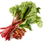 Rebarbora - sazenice