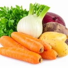 Ostatní kořenová zelenina