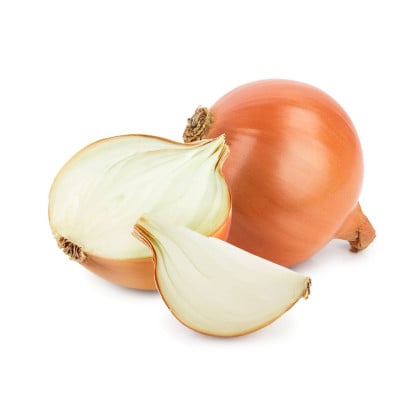 BIO sadba cibule