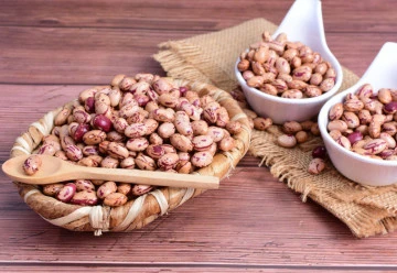 Fazole – pnoucí, keříčkové i okrasné