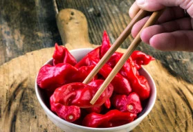 Bhut jolokia chilli – Chilli démonů