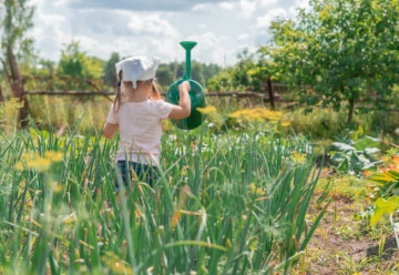 Zeleninová zahrada pro děti