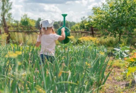 Zeleninová zahrada pro děti