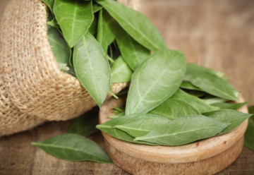 Henna – dekorativní rostlina s mnoha léčivými účinky