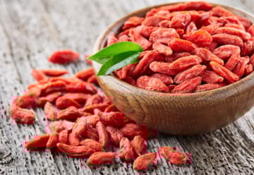 Keř s léčivými plody – goji, nebo-li kustovnice čínská