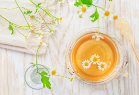 Heřmánek a jeho pěstování ze semínek