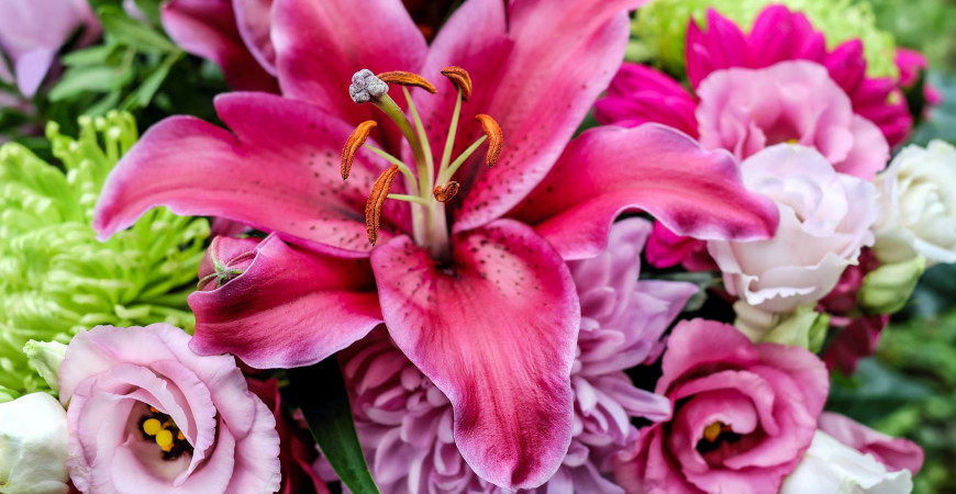 Lilie – královny květin, které nelze na žádné zahradě přehlédnout
