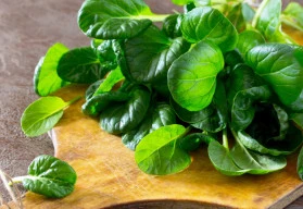 Špenát je králem zeleniny, vysejte ho na podzim, budete sklízet brzy z jara