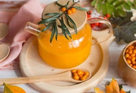 Rakytník a jeho pěstování