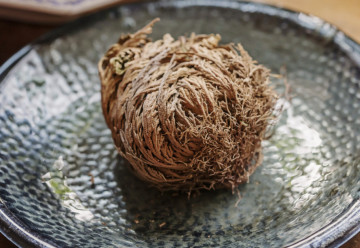 Zázrak z pouště, který kvete před očima 