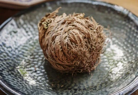 Zázrak z pouště, který kvete před očima 