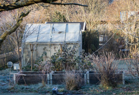 V prosinci lze ještě dokončit některé práce v zahradě