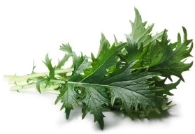 Chuť Asie na českém stole, pěstujte nejen pekingské zelí