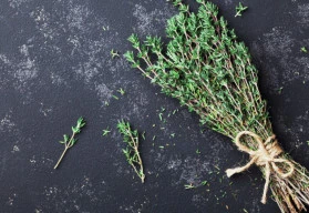 První pomoc při bolestech v krku Vám poskytnou bylinky