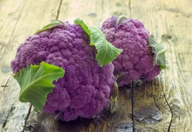 Výsevy zeleniny v dubnu