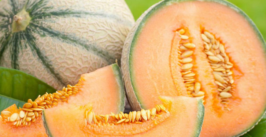 Vypěstujte si cukrový meloun. I na české zahradě je to možné.