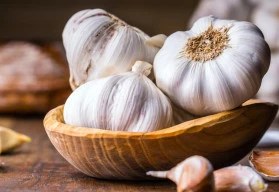 Česnek – sklizeň, sušení a skladování