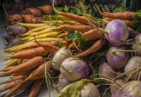 Pěstování zeleniny v zimě? Jde to!