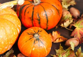 Je tady podzim, čas tykví