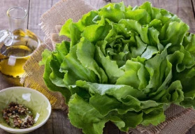 Méně známé druhy rostlin vhodných do salátů (část 1.)