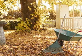 Na podzim je v zahradě stále napilno