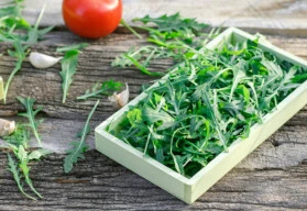 Méně známé druhy rostlin vhodných do salátů (část 2.)