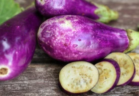 Baklažán čili lilek miluje teplo, odvděčí se pestrými plody