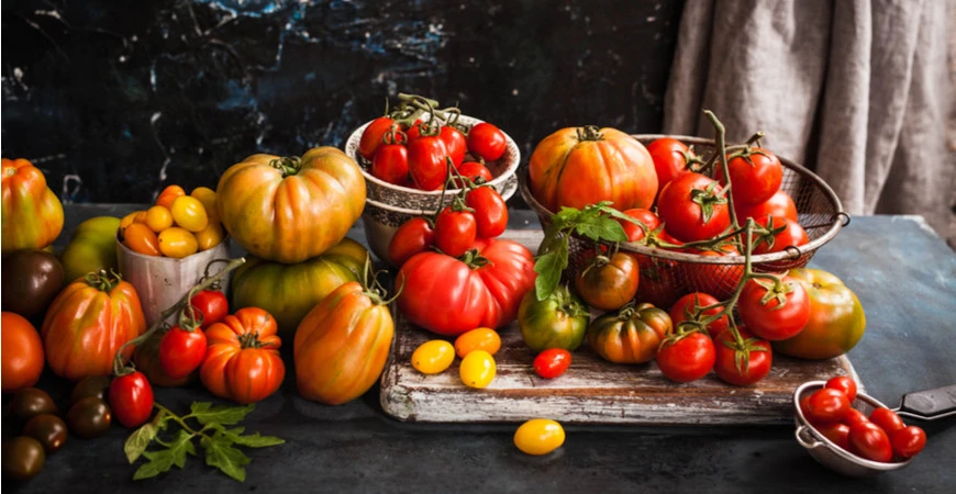 Nejoblíbenější semena zeleniny