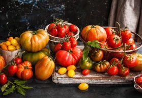 Nejoblíbenější semena zeleniny