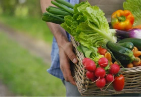 Sklízíte plody své práce a některé záhony již zejí prázdnotou? 