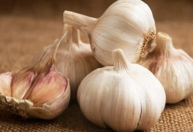 Co musíte vědět při pěstování česneku? 